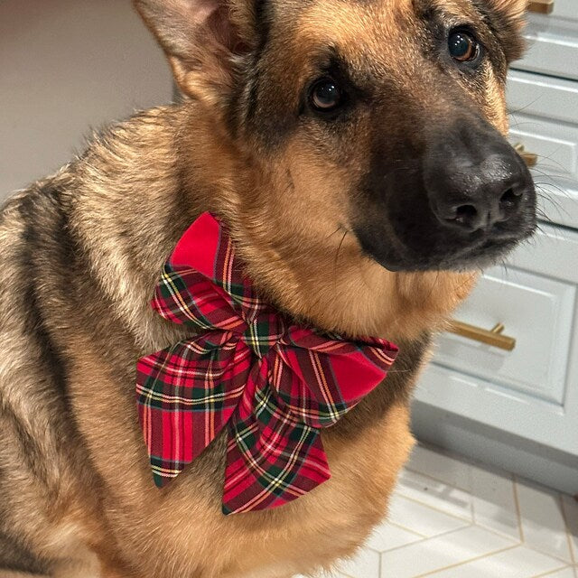 Red Tartan Dog Bows for Collars