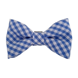 light blue check dog bow tie for the collar 