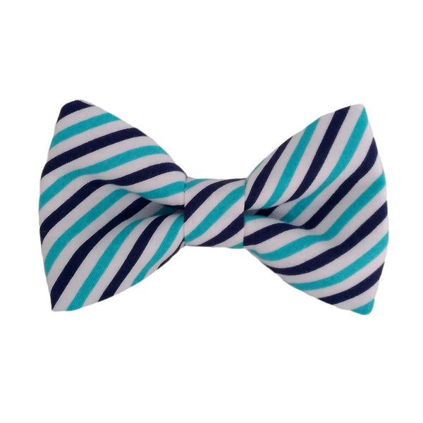 navy and blue striped bow tie for dogs that attach to the collar