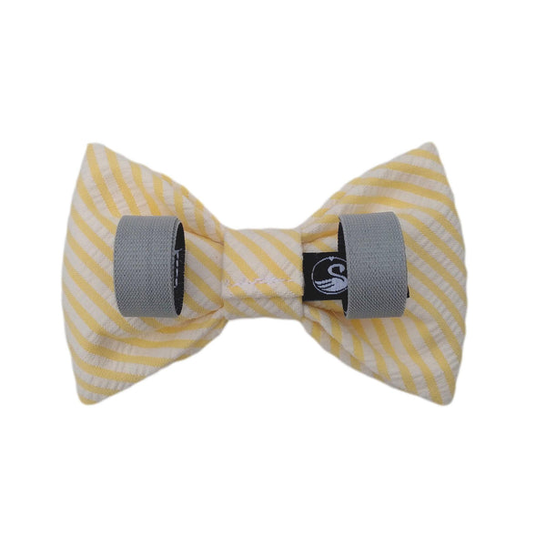 Yellow Dog Bow Ties for the Collar