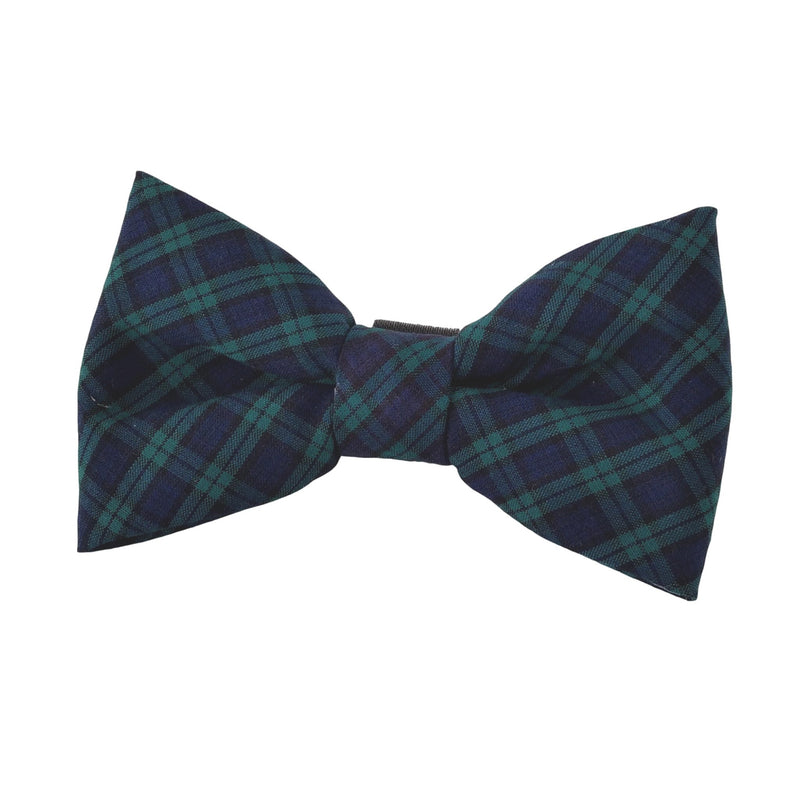 navy and green plaid dog bow ties for the collar