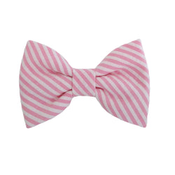pink and white dog bows for the collar